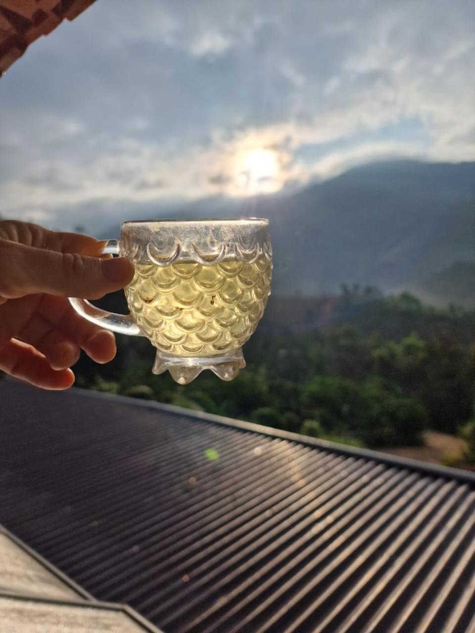 Farm Co Chu Tuan Ha Bed & Breakfast Đà Lạt Ngoại thất bức ảnh