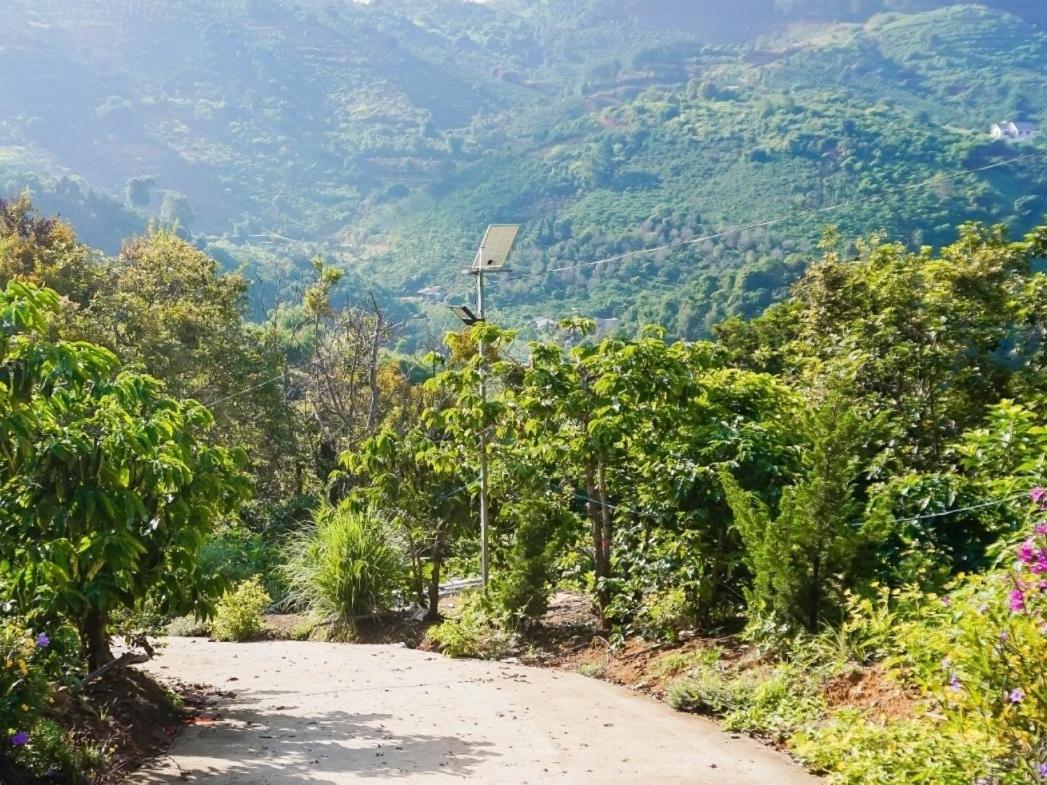 Farm Co Chu Tuan Ha Bed & Breakfast Đà Lạt Ngoại thất bức ảnh