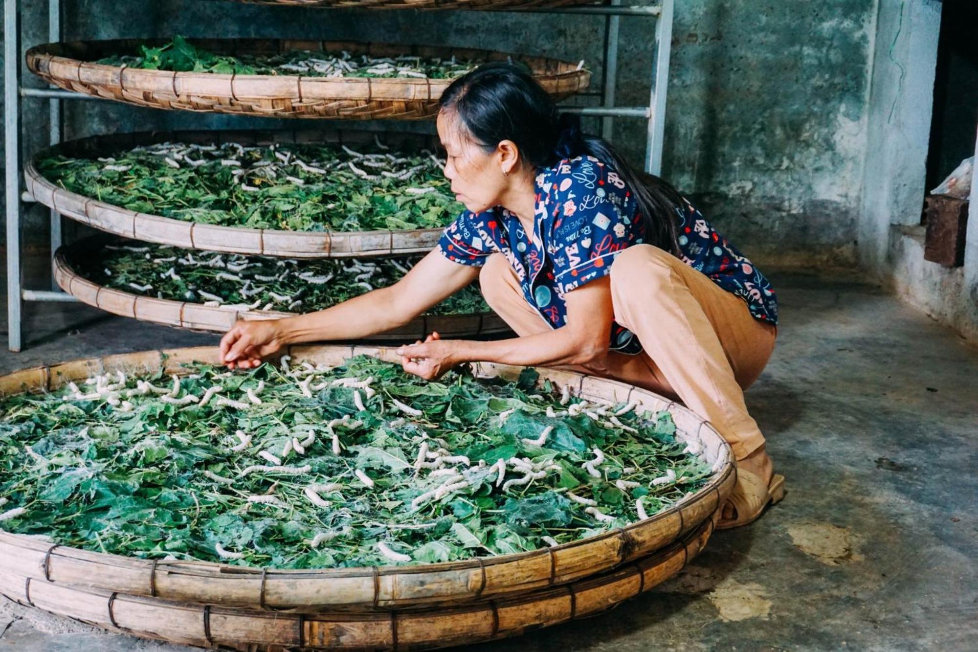 Farm Co Chu Tuan Ha Bed & Breakfast Đà Lạt Ngoại thất bức ảnh